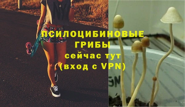 скорость Алексеевка