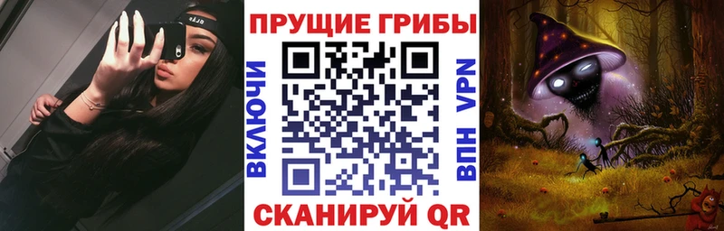 купить наркотик  Кудрово  Псилоцибиновые грибы мицелий 