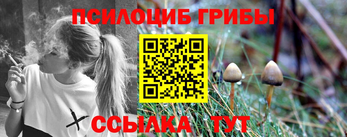 купить наркотики сайты  Галлюциногенные грибы мухоморы  Псилоцибиновые грибы Psilocybe  Вход с VPN  Кудрово 