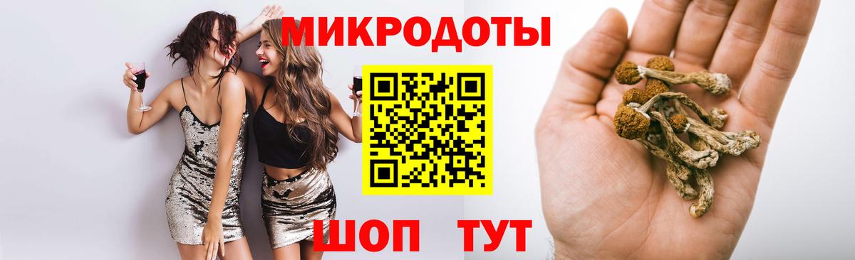 Галлюциногенные грибы Magic Shrooms Кудрово