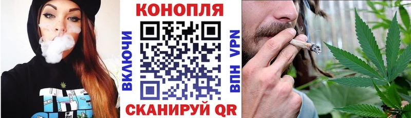 купить наркотики цена  Кудрово  Бошки Шишки LSD WEED 